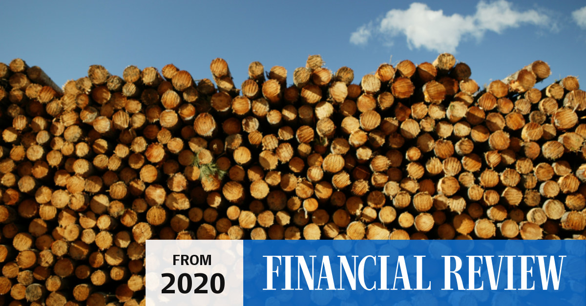 Big River raising for timber business buy; Moelis on ticket